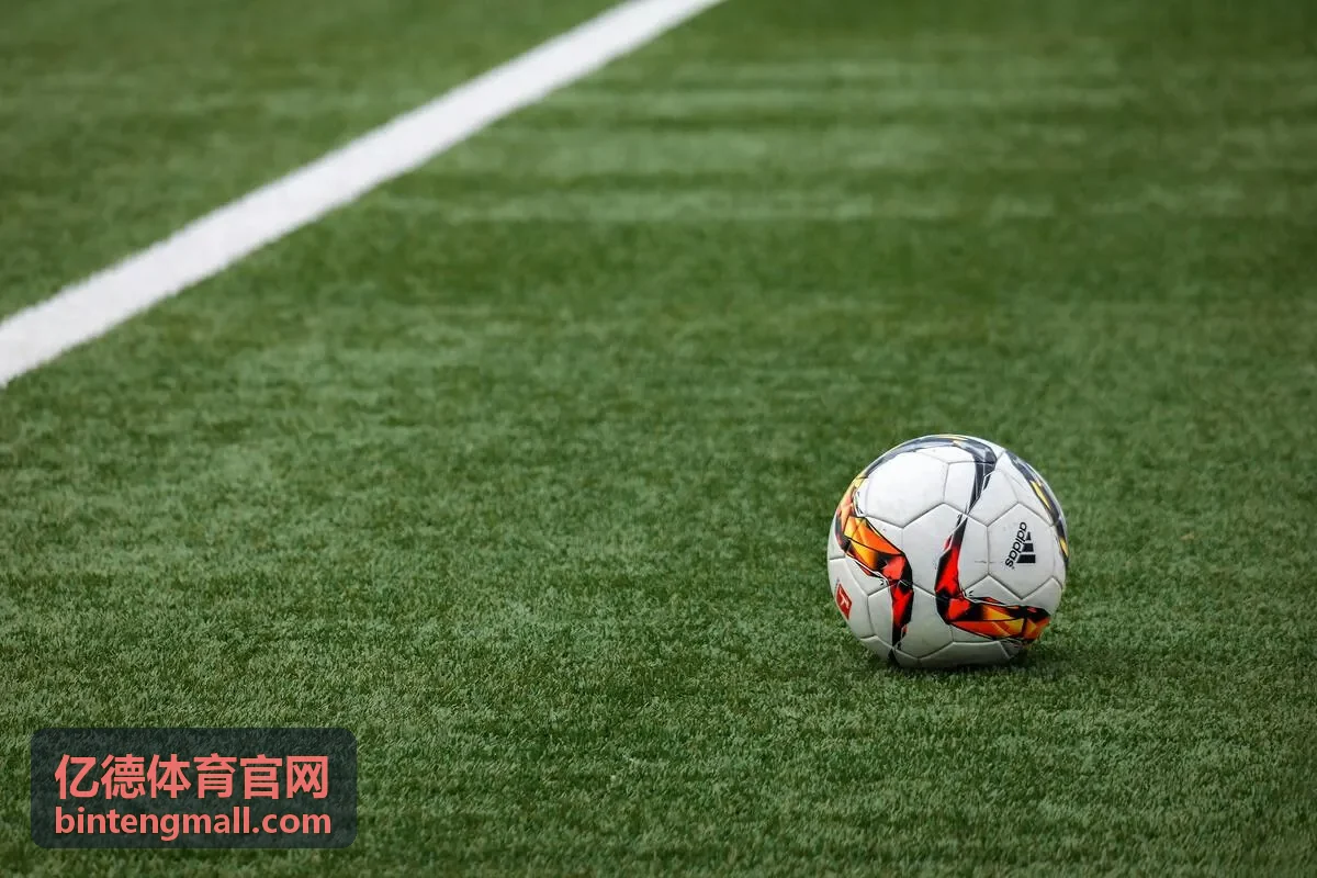 亿德体育官网足球场预约示意图